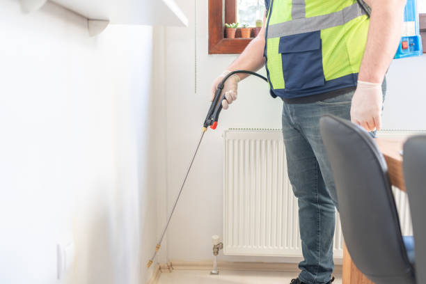 Trusted Plainedge, NY Pest Control Experts