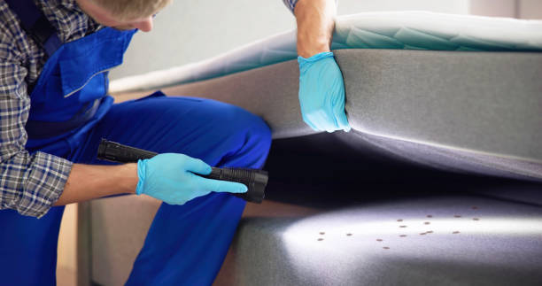 Best Best Pest Control Companies  in Plainedge, NY