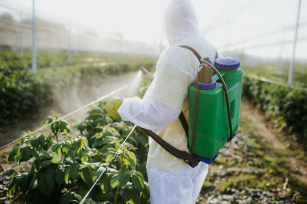 Best Pest Removal Services  in Plainedge, NY